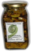 Fiddlehead Ferns