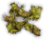 Hazelnuts