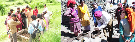 Organic Farming