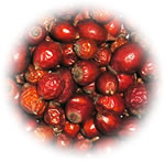 Rose Hip