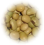 Soya Beans